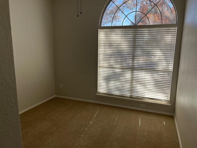 Building Photo - 10004 Belfort Dr