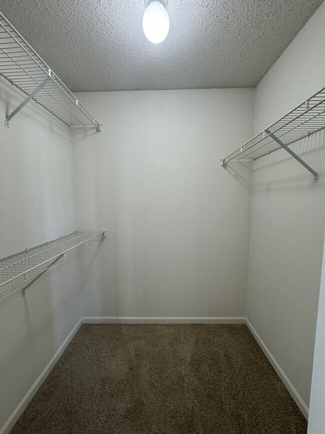 Building Photo - 1209 Porchester Ln