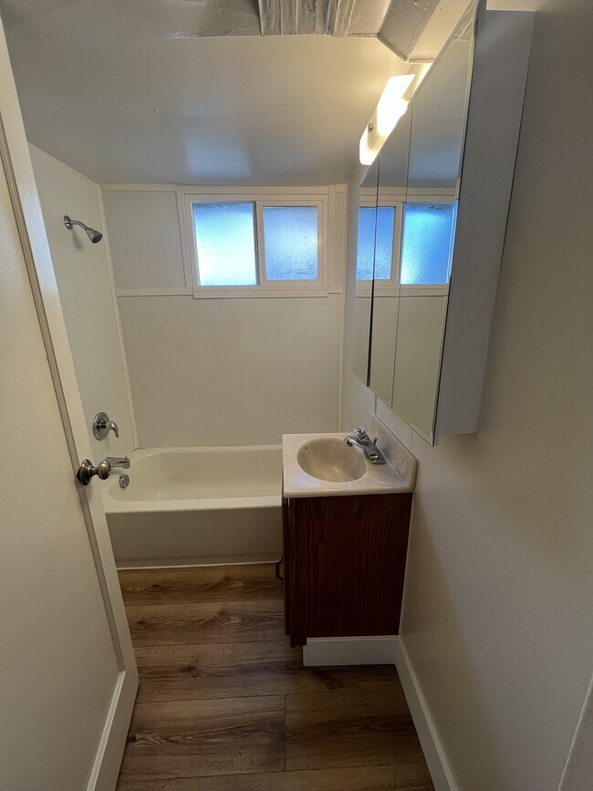 Downstairs Bathroom - 257 N 500 E