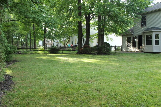 back yard - 1343 Sprucewood Ct