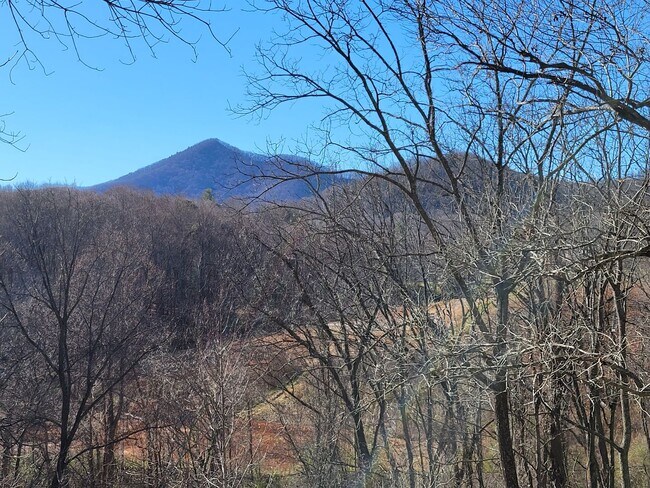 Building Photo - Wonderful spacious country home