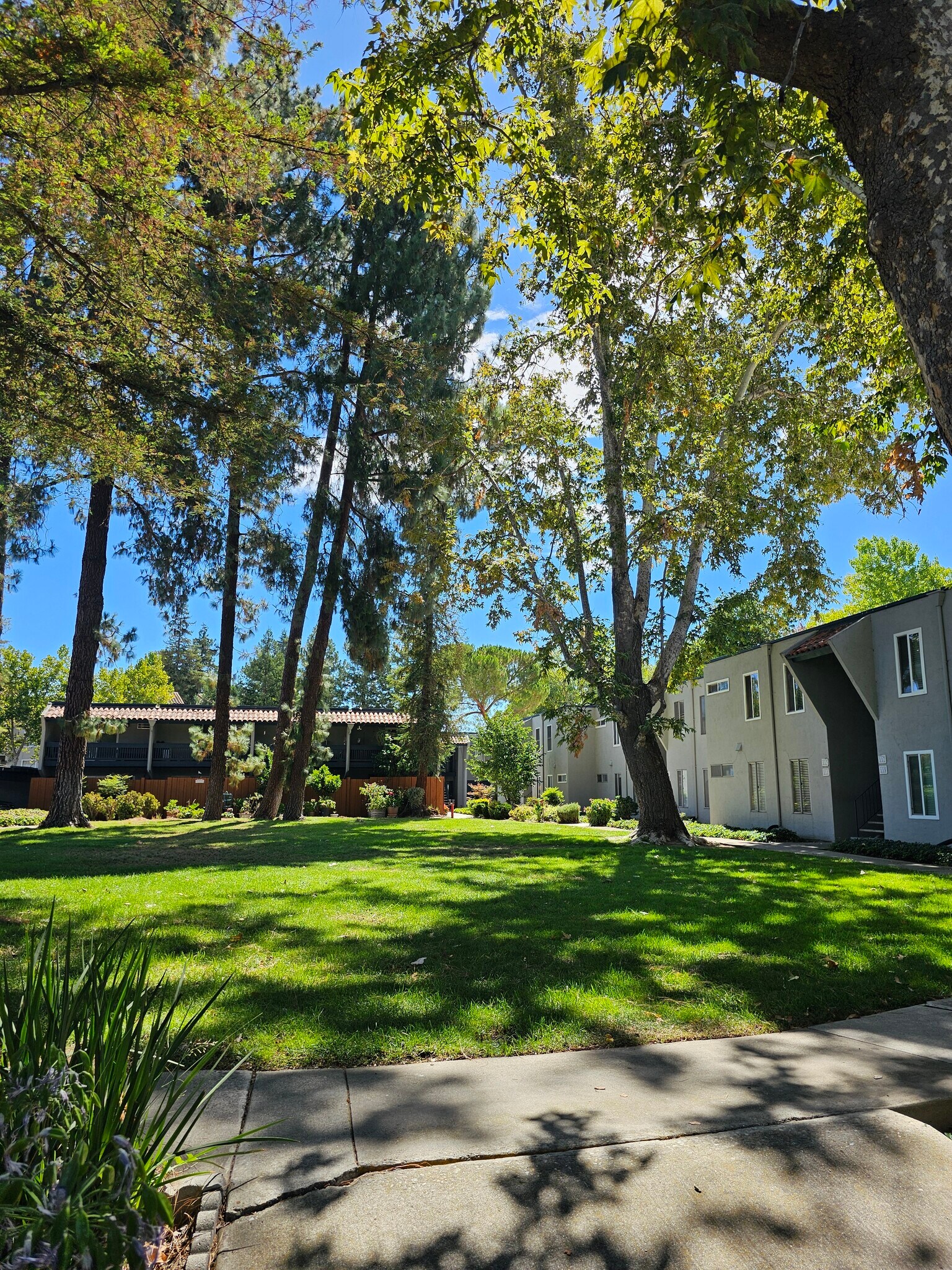 Building Photo - 1009 Murrieta Blvd
