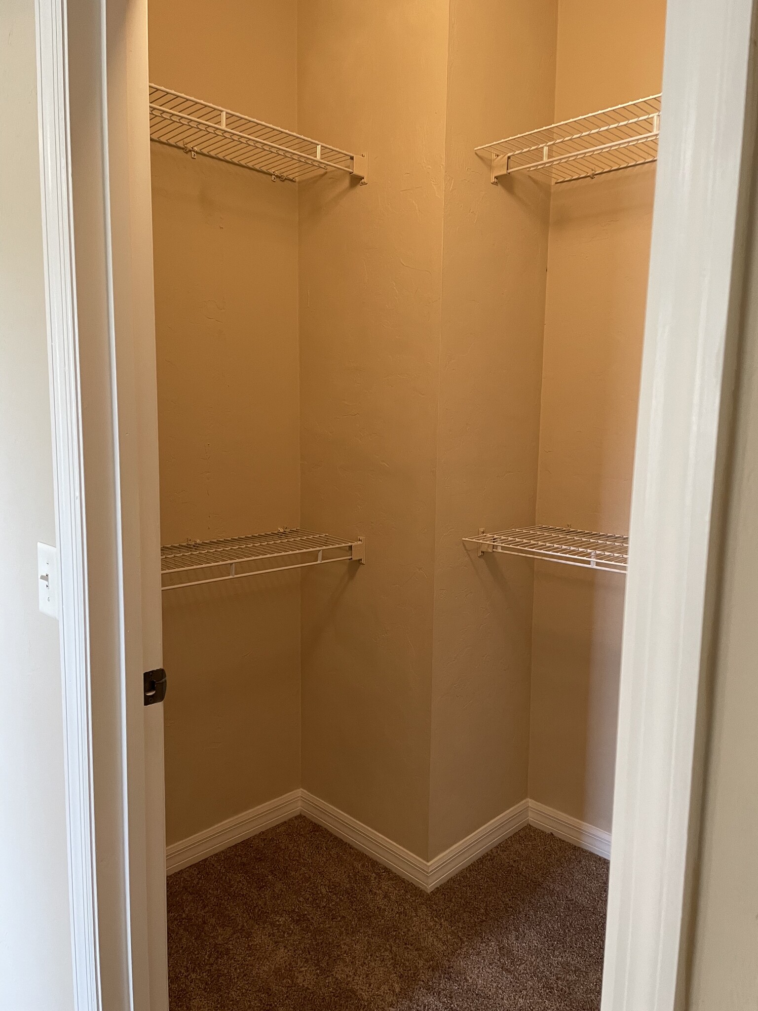 Walk-in closet with continuous carpet throughout the bedroom. - 13200 W Newberry Rd