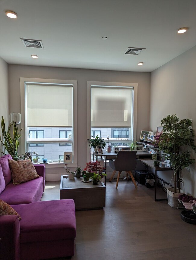 Building Photo - Jamaica Plain luxury 1 bedroom penthouse f...