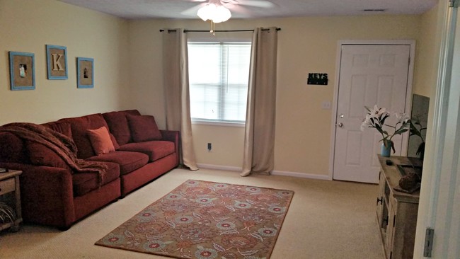 Spacious Living Room - Mountain View