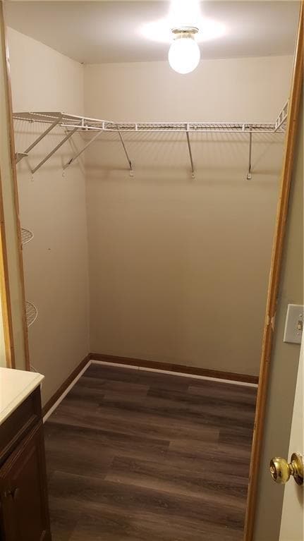 Building Photo - 5326 Heardsville Rd