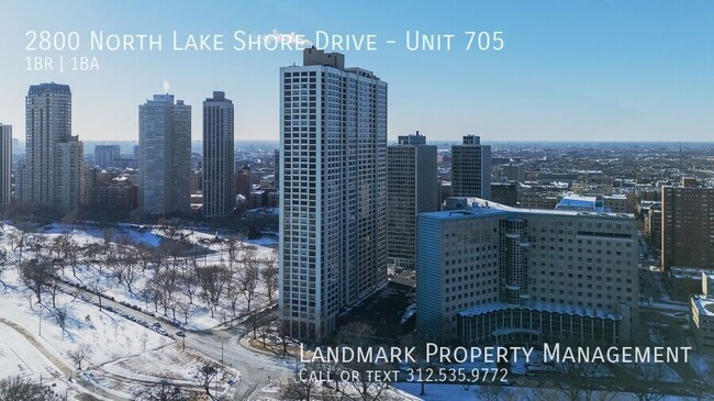 Building Photo - 2800 N Lake Shore Dr