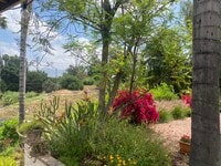 Building Photo - 1779 Prince Albert Dr