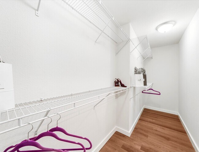 Building Photo - 4309 Stillbrooke Dr