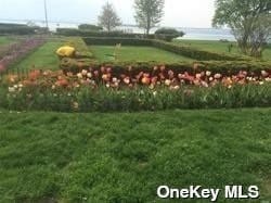 Building Photo - 7 Bond St