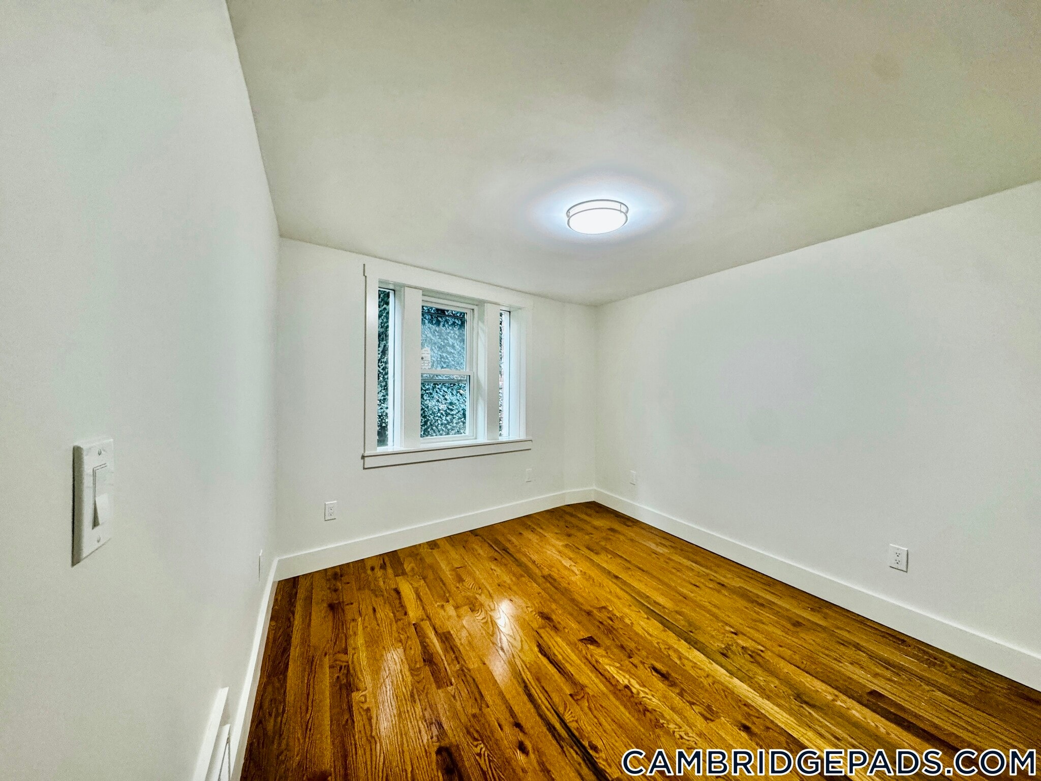 Building Photo - 38 Gibson St