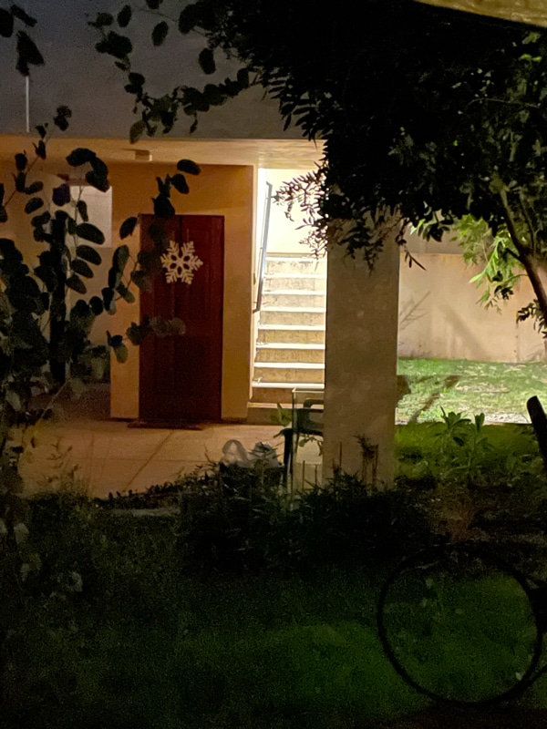 Building Photo - 1949 Parnell Ave