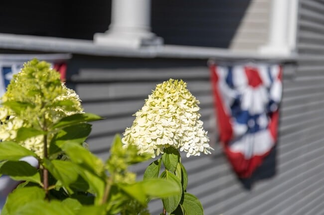 Building Photo - 37 Main Rd N