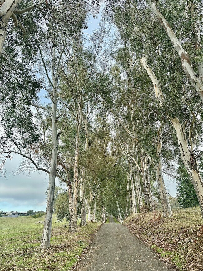 Building Photo - 6181 Wise Rd