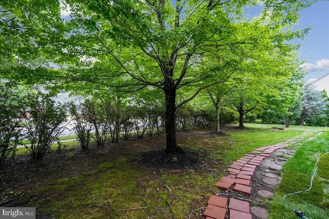 Building Photo - 905 Royal Elm Ct