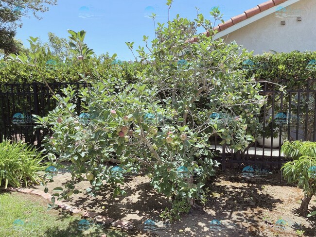 Building Photo - Shadowridge  Gorgeous 3 Bedroom Home In Desirable Neighborhood / Vista