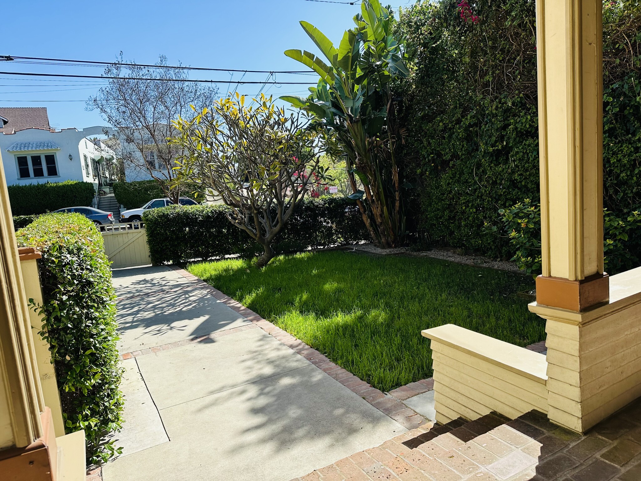 view of yard from patio - 847 E Kensington Rd