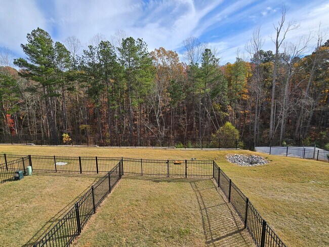 Building Photo - 1207 Falling Rock Pl