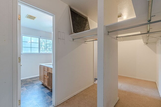 Building Photo - 164 Springtree Hollow