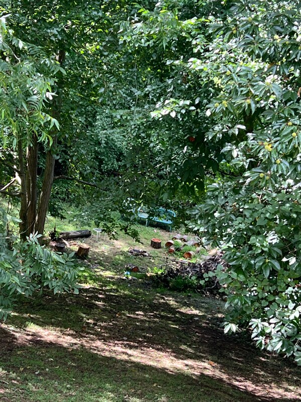 Building Photo - 261 Cheyenne Rd