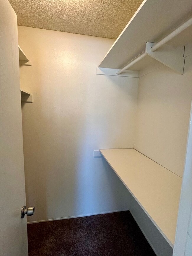 Building Photo - 6080 Mt Aguilar Dr