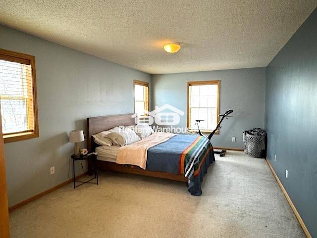 Building Photo - 2719 Autumn Woods Dr