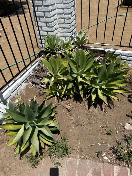 Building Photo - 9826 Columbus Ave