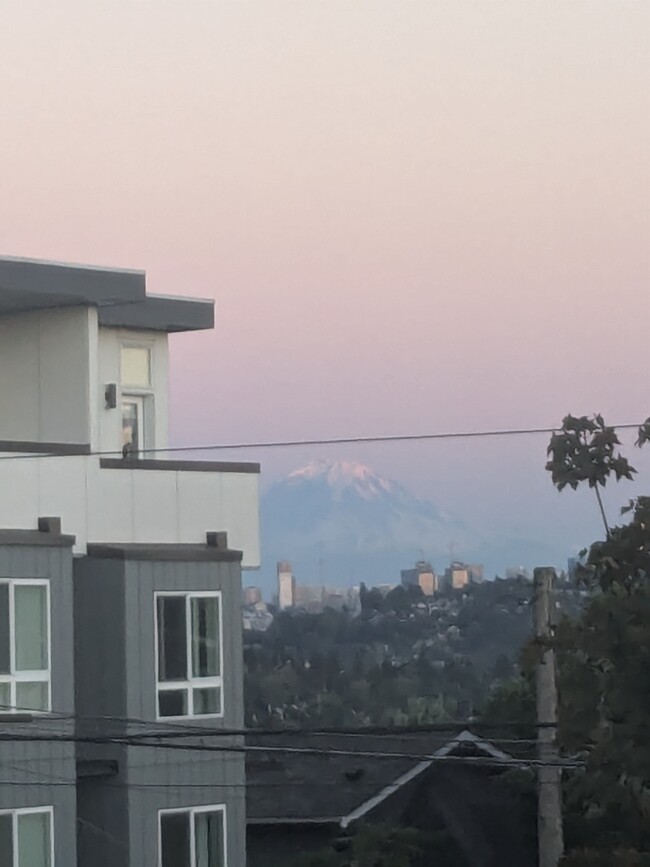 Mount Rainier View - 7311 15th Ave NW