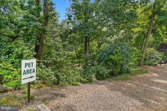 Building Photo - 5902 Mt Eagle Dr