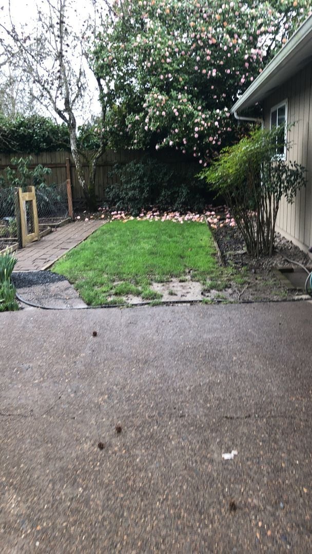 Building Photo - Beautiful Single Level 3/2 Charming NW Corvallis Home