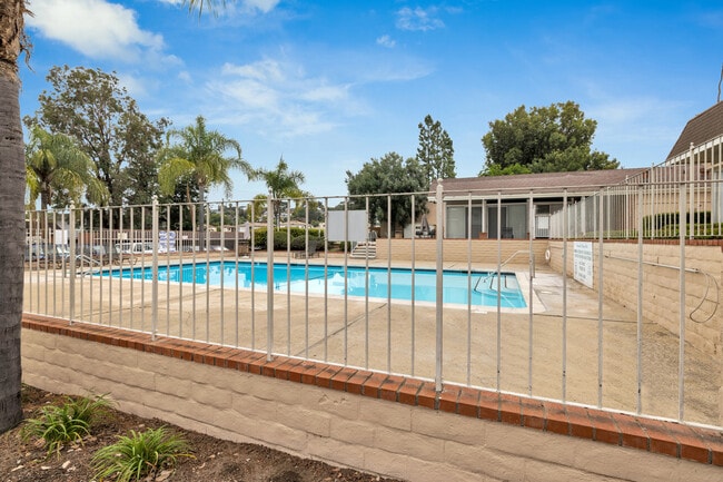 Pool - 4475 Dale Ave