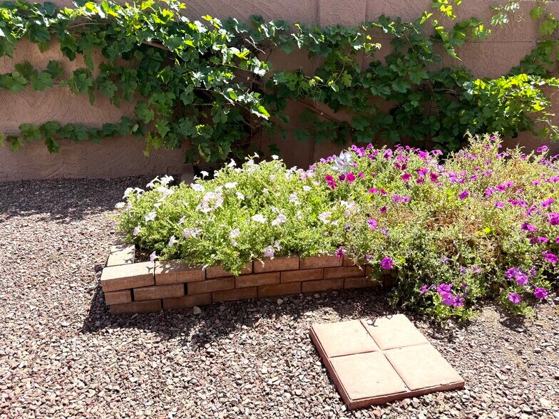 Grapes and gardening bed ready for any green thumbs - 8315 S Taylor Dr