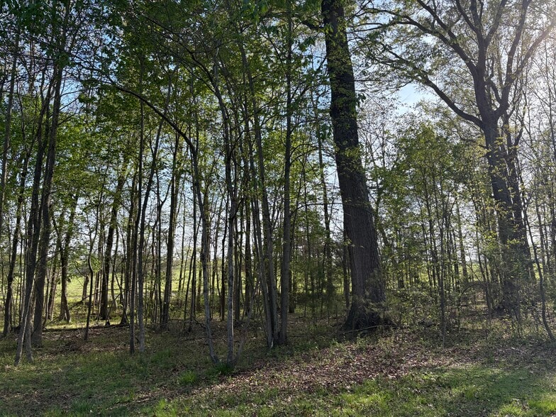 Building Photo - 17870 Broad Meadow Dr