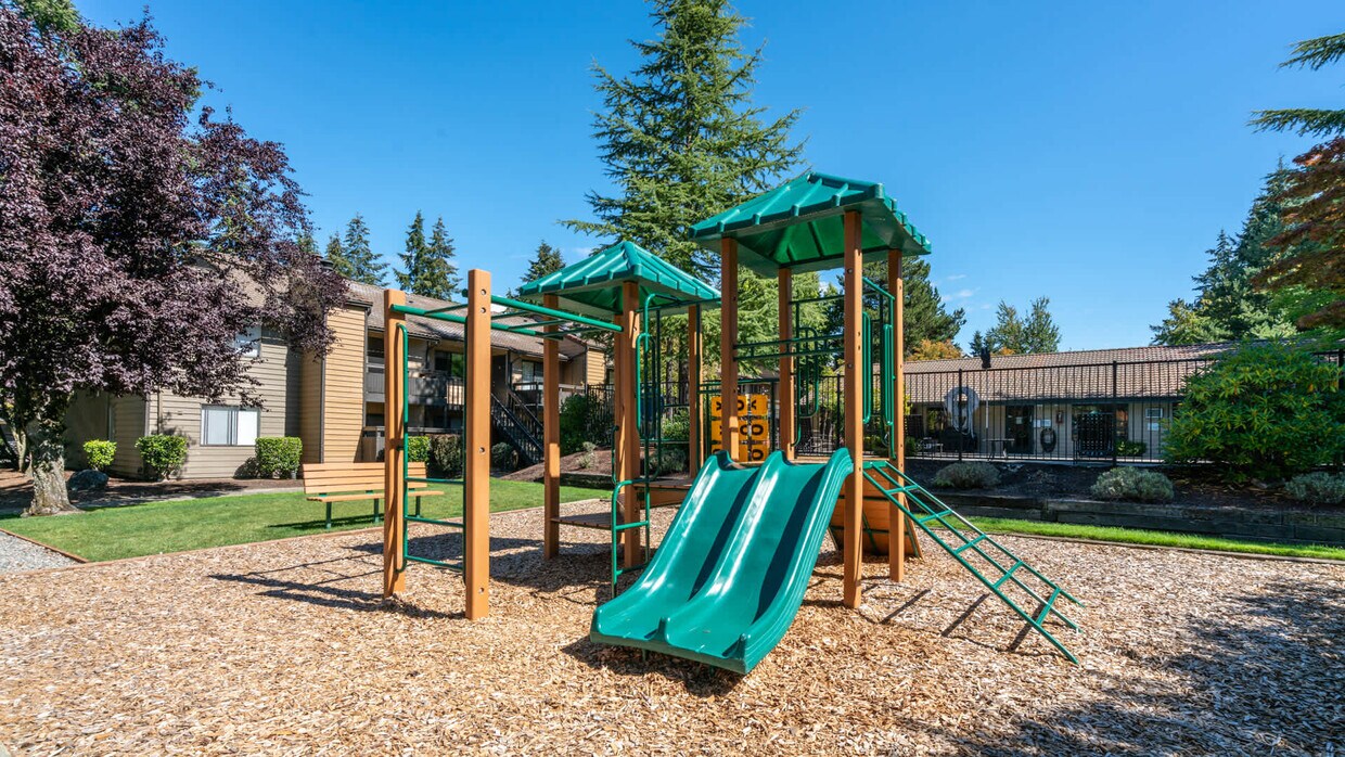 Bellevue Meadows Bellevue Wa Apartment Finder