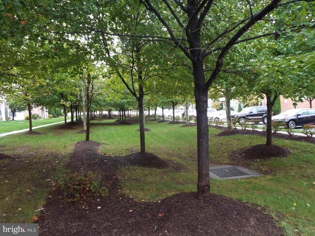 Building Photo - 22950 Rose Quartz Square