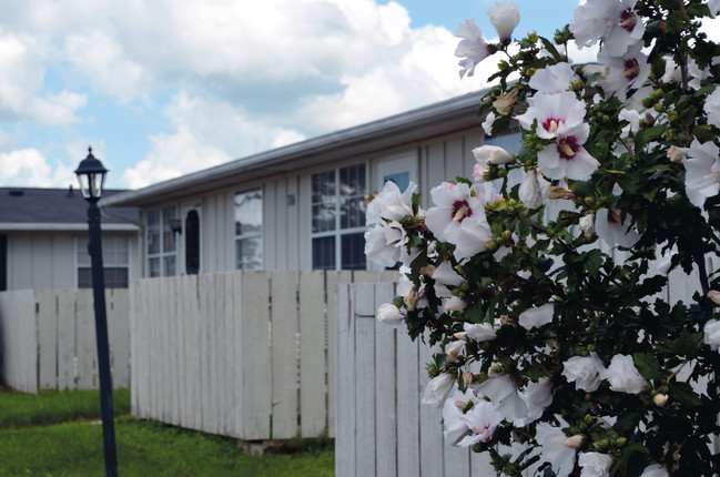 Primary Photo - Hollybrook Apartments