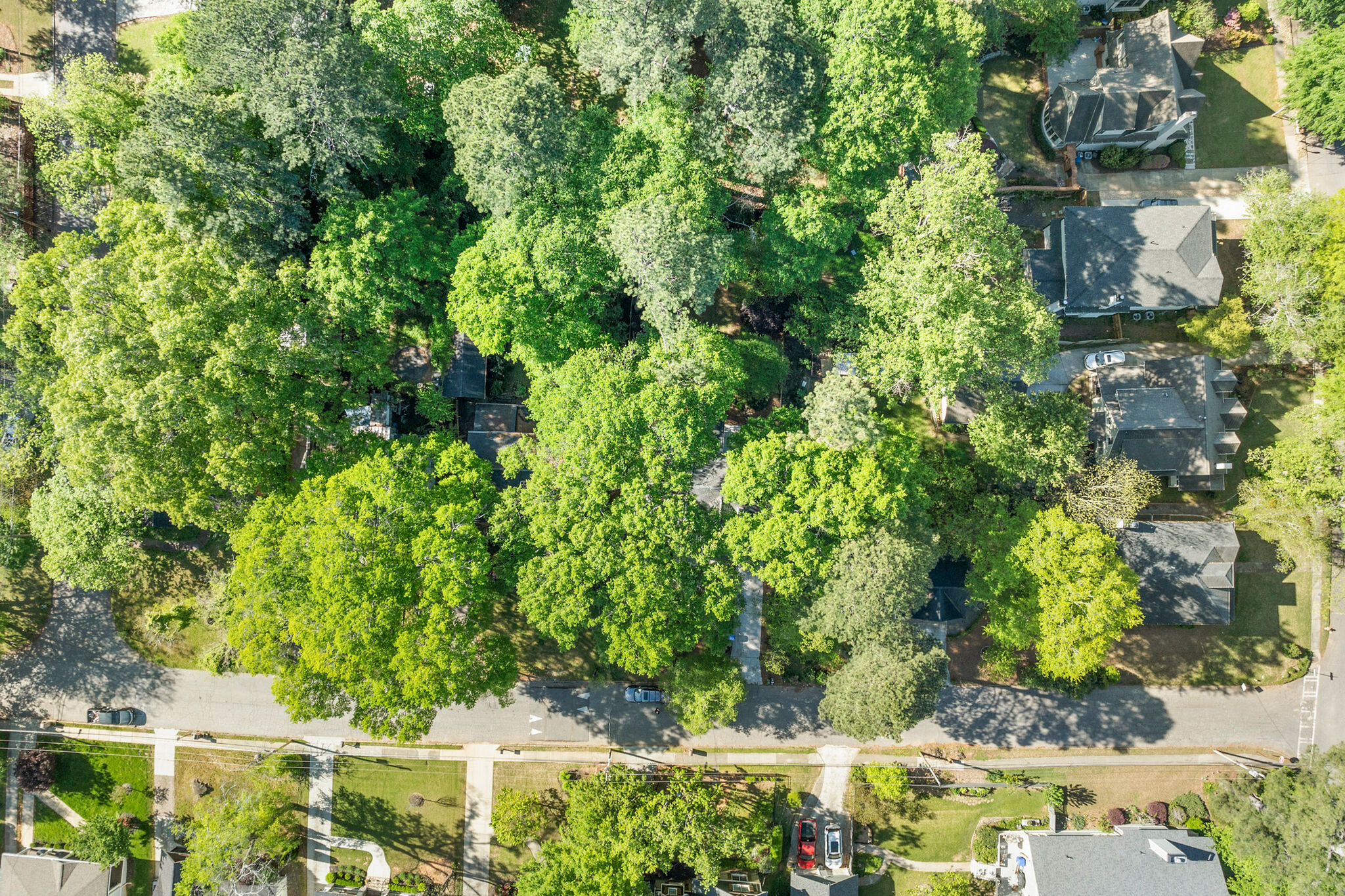 Overhead view of property - 121 Brower Street