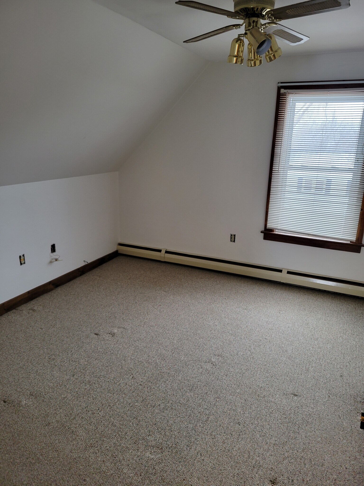 Building Photo - 25 Blucher St