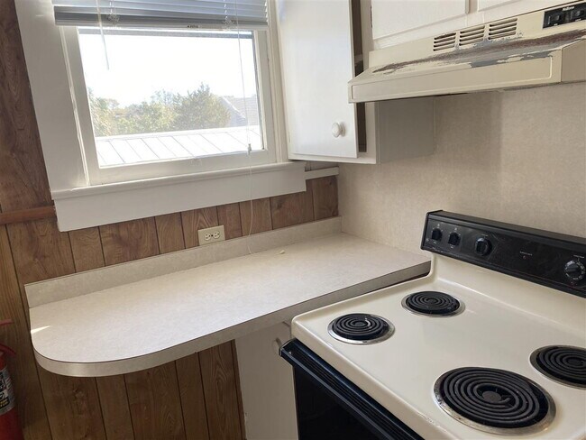 Building Photo - 2 BR/1 BA Downtown Apartment! Walk Everywhere!