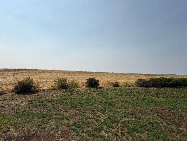 Building Photo - Beautiful Country Home on 20 Acres with Stunning Mountain Views