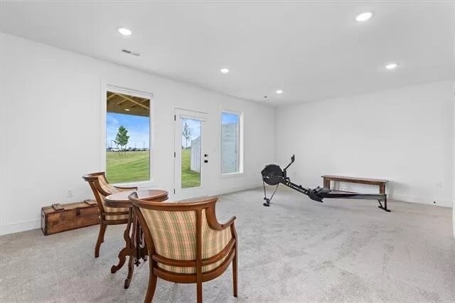 Downstairs family room with walkout - 7345 Griffey St