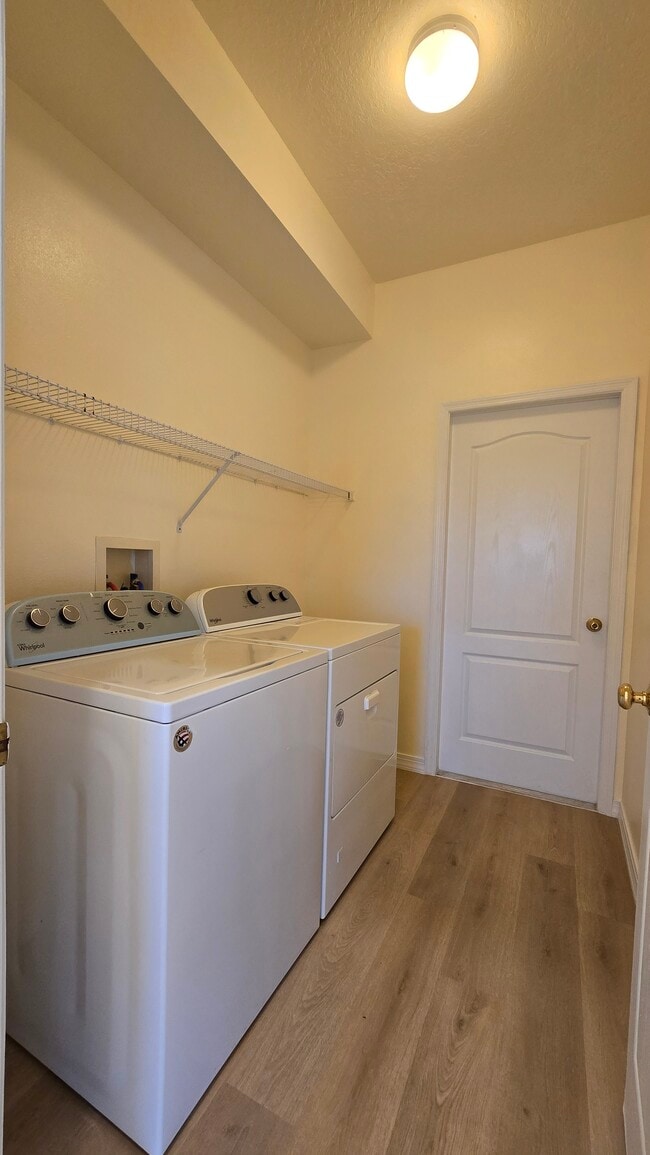 Building Photo - 1241 Vinetree Dr