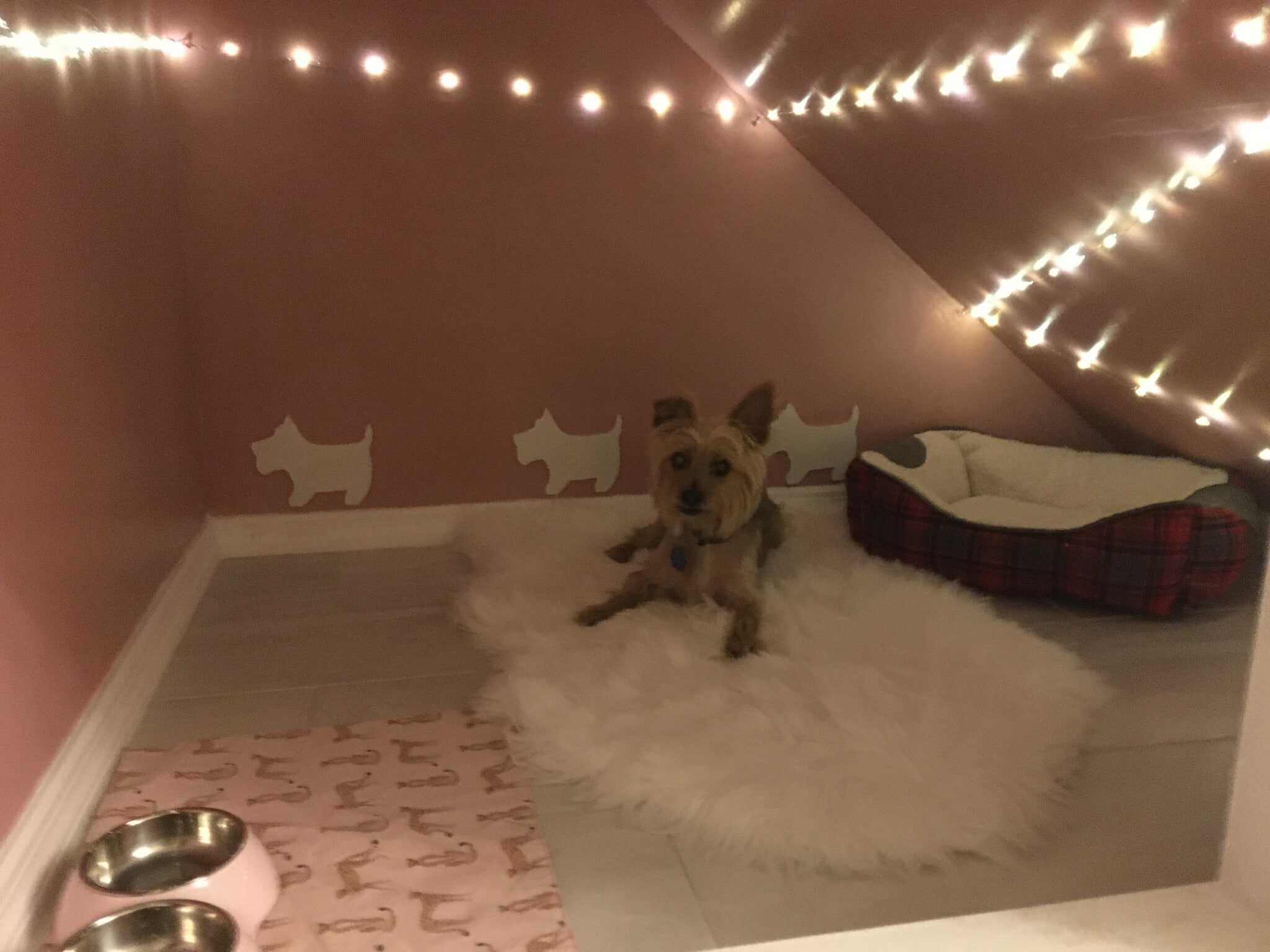 Building Photo - 11647 NW 18th Pl