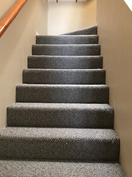 New carpet - 29509 Cara Way