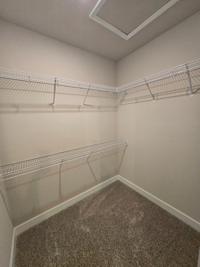 Building Photo - 3 Bedroom/2 Bath in Country Way of Newberry