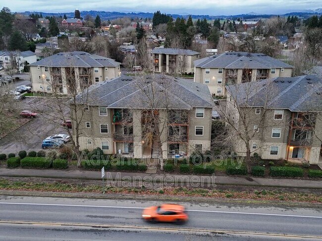 Building Photo - 519 Catron St N