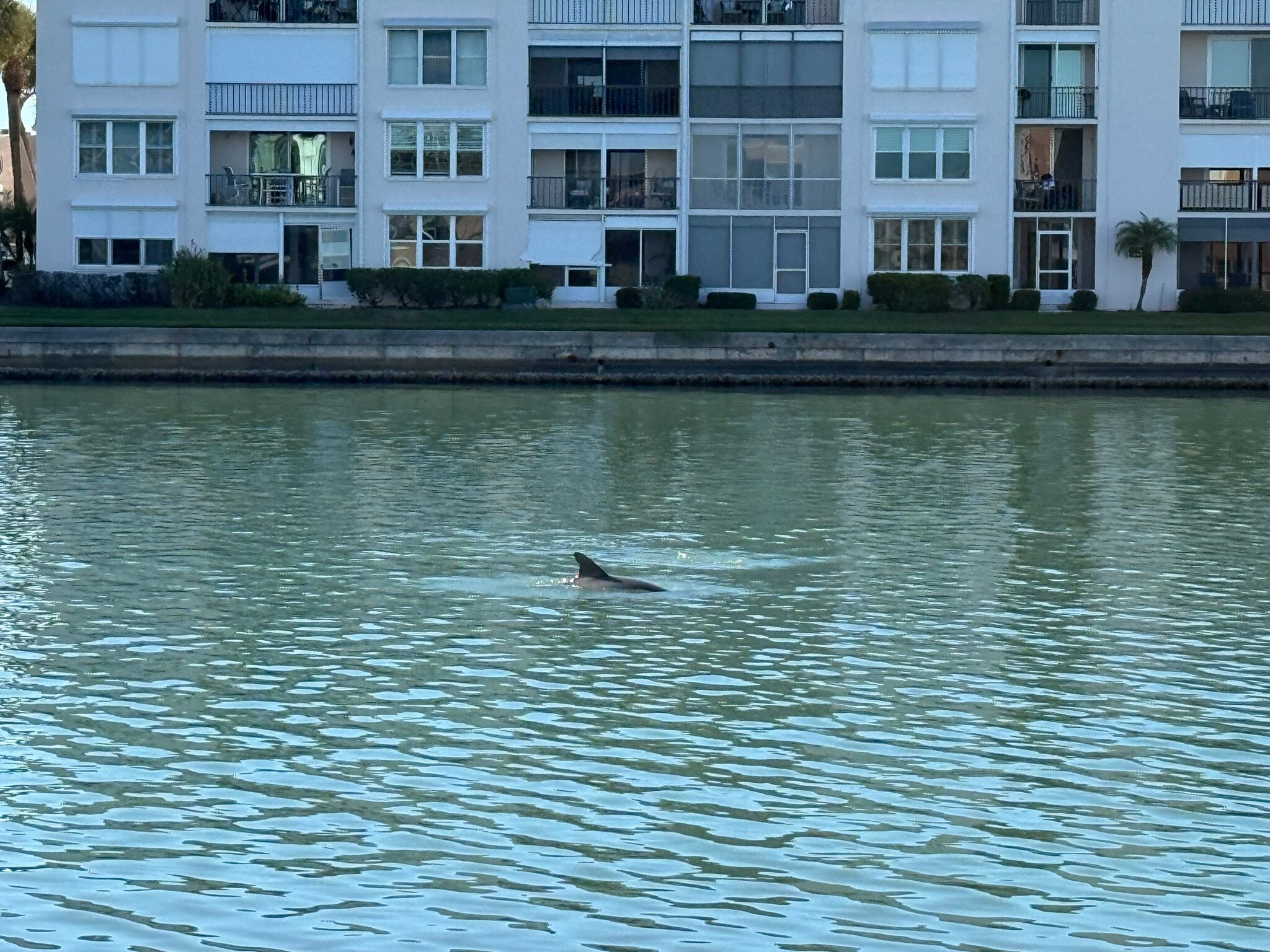 Patio View - 7560 Bay Island Dr S