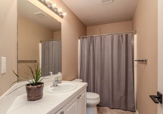 Building Photo - Beautiful Spacious Home!