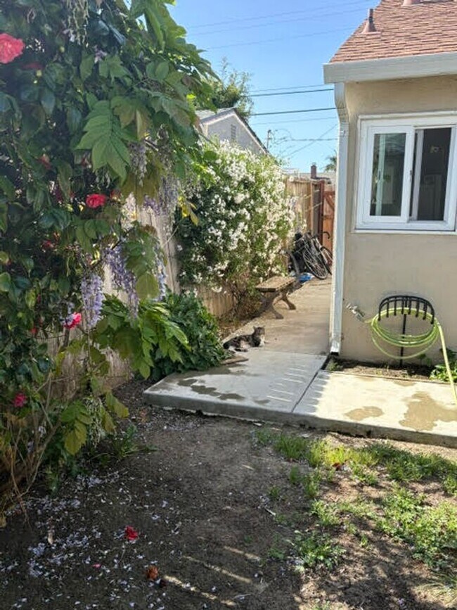 Building Photo - ALUM ROCK/ EAST SAN JOSE – Charming and beautifully updated
