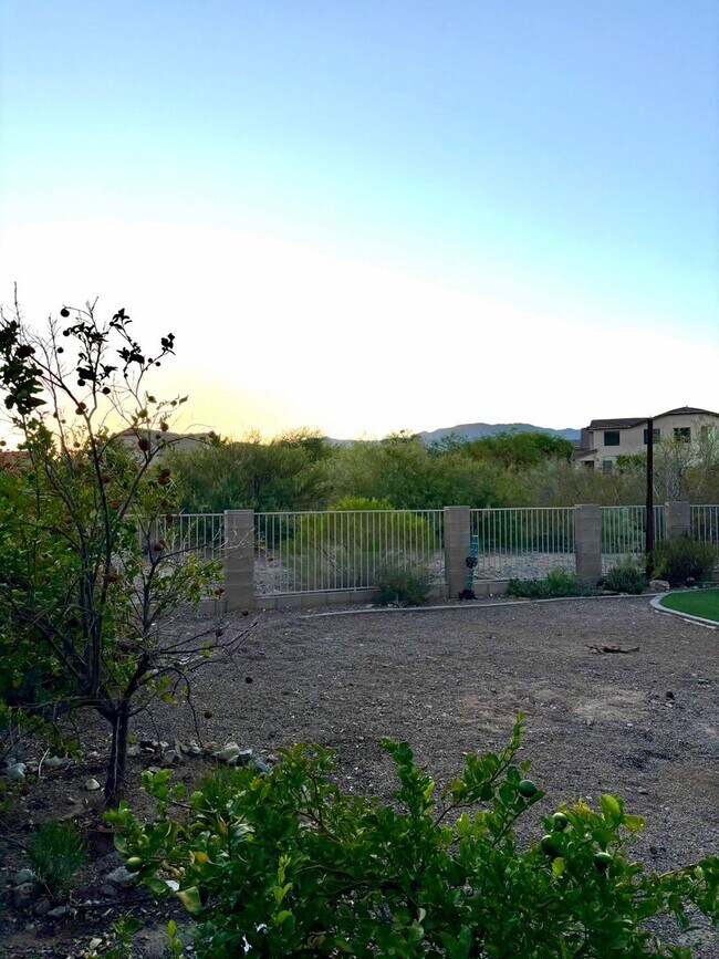 Building Photo - Stunning 2 story home in Oro Valley!!